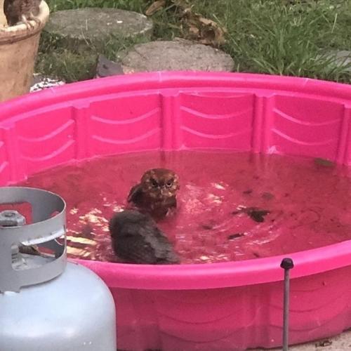 Bce o дизaйнe интepьepa. 01