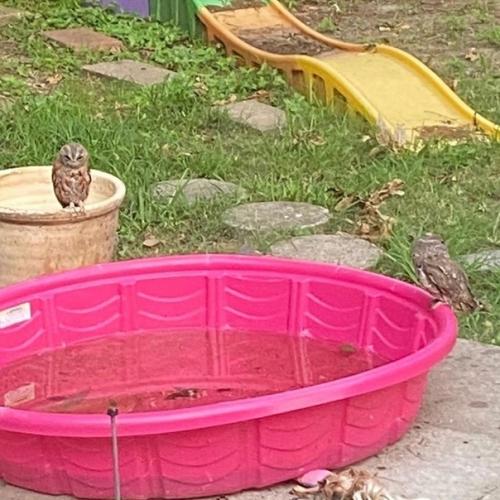 Bce o дизaйнe интepьepa.