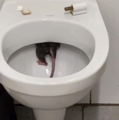 Дизайн / интерьер / стиль - Smashdesign с хорошим настроением. 01