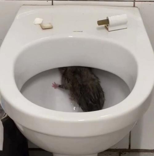 Дизайн / интерьер / стиль - Smashdesign с хорошим настроением. 02