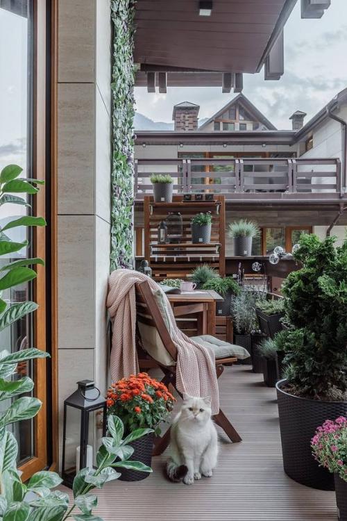 Дизайнер смогла раскрыть потенциал небольшой площади и вдохновиться преимуществами расположения дома. 02