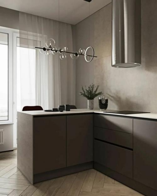 Кухня и коридор, оформленные в одном стиле. 03