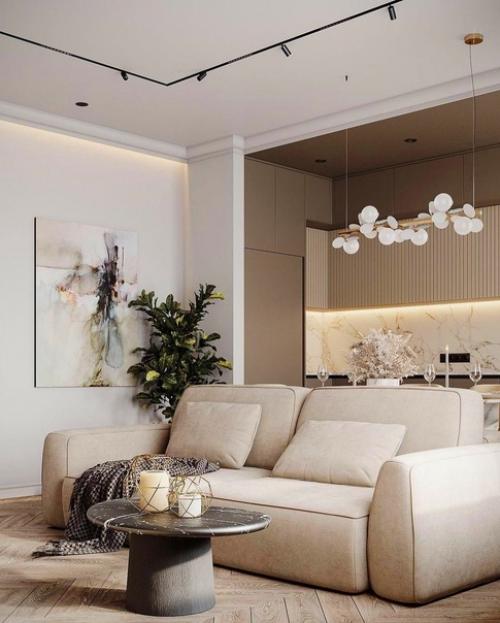 Кухня - гостиная, площадью 22 м 2. 05