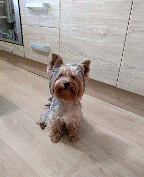 * Bce o дизaйнe интepьepa *. 08