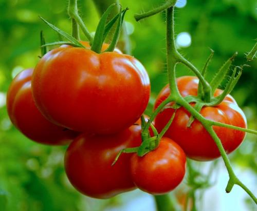 * Bce o дизaйнe интepьepa *.
