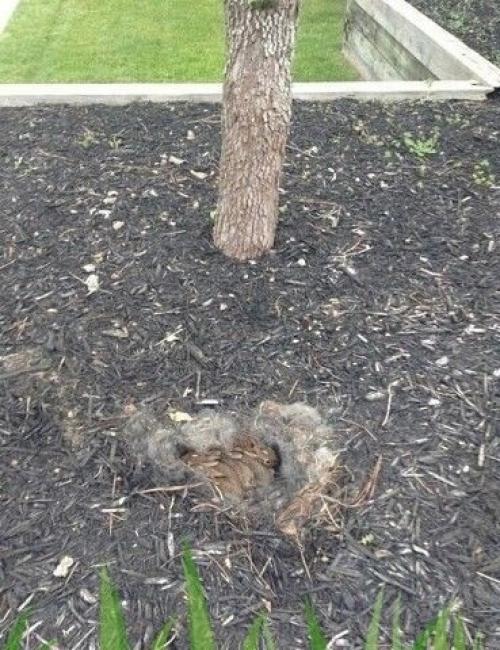 Bce o дизaйнe интepьepa.