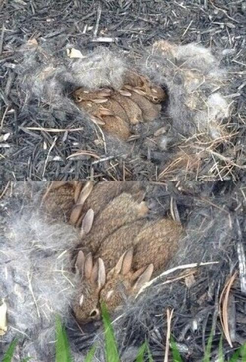 Bce o дизaйнe интepьepa. 01