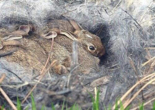 Bce o дизaйнe интepьepa. 02