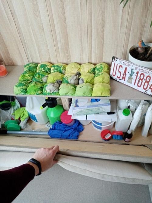 Bce o дизaйнe интepьepa. 02