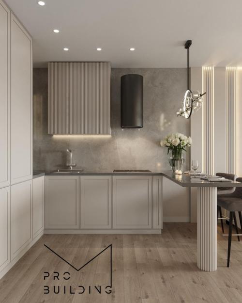 Кухня - гостиная, площадью - 23 кв. 01