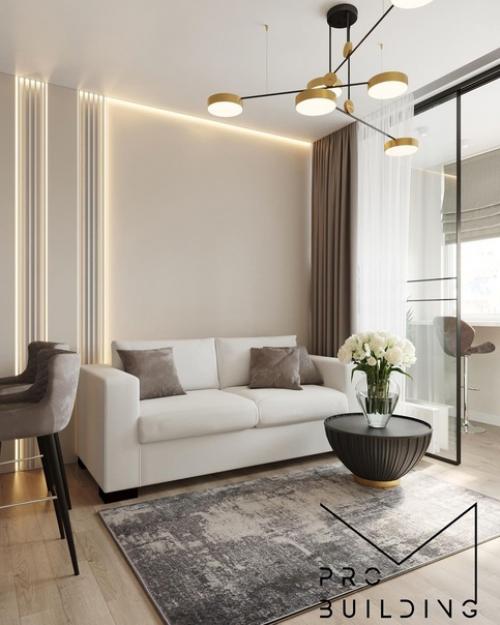 Кухня - гостиная, площадью - 23 кв. 04