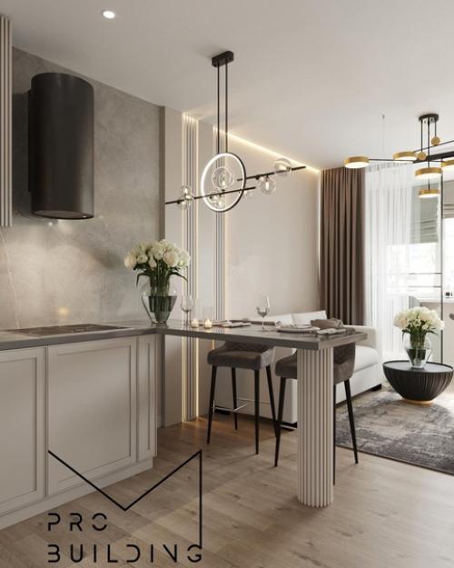 Кухня - гостиная, площадью - 23 кв.