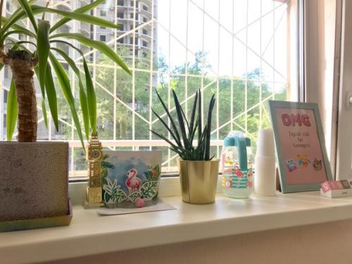 Дизайн студии английского. 03