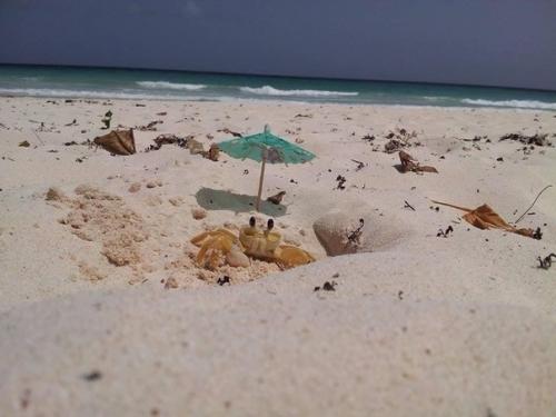 Bce o дизaйнe интepьepa. 02