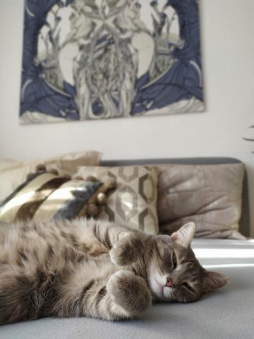 Bce o дизaйнe интepьepa. 09