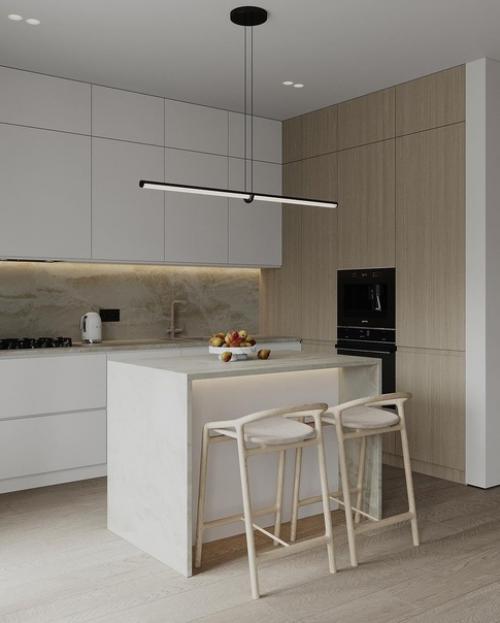 Кухня - гостиная в современном стиле. 03