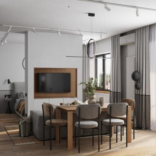 Студия с межкомнатной перегородкой с поворотным тв. 01