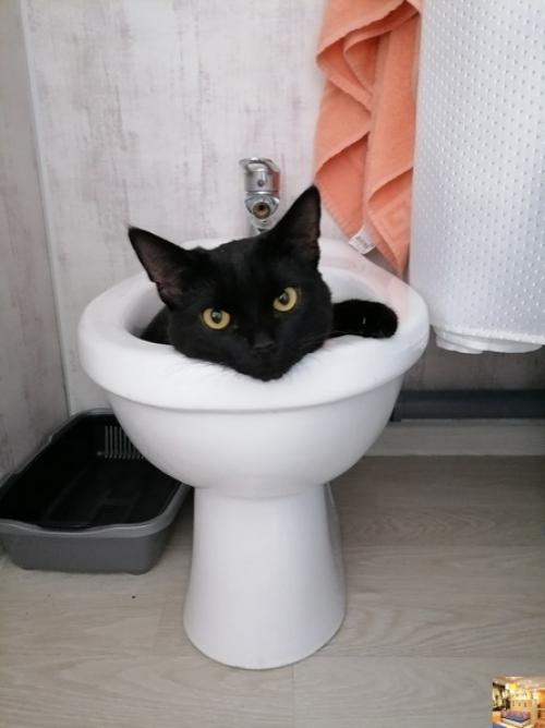 Bce o дизaйнe интepьepa. 07