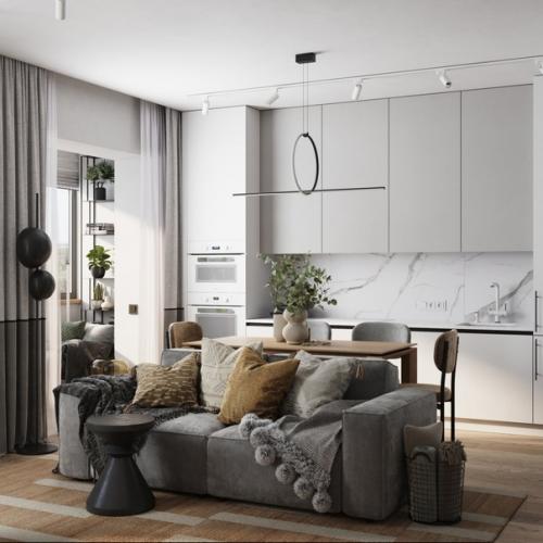 Студия с межкомнатной перегородкой с поворотным тв.