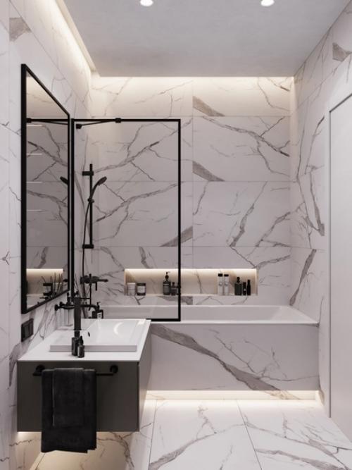 Студия с межкомнатной перегородкой с поворотным тв. 06