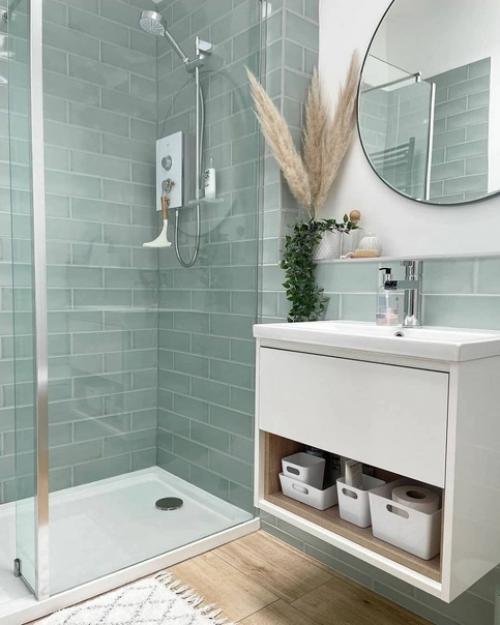 Совмещенный санузел с душевой. 01