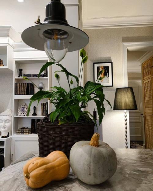 Кухня - гостиная, площадью 20 кв. 06