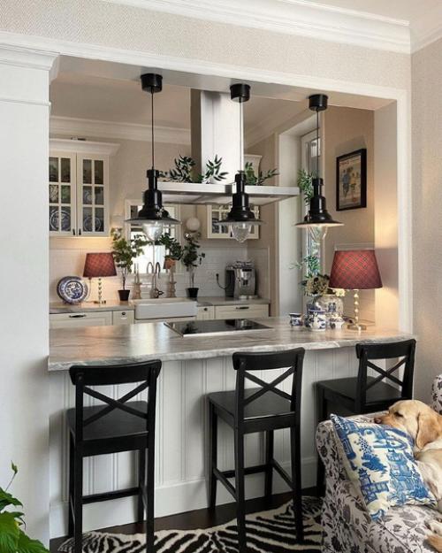 Кухня - гостиная, площадью 20 кв.