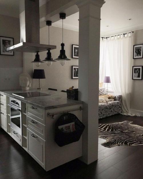 Кухня - гостиная, площадью 20 кв. 02