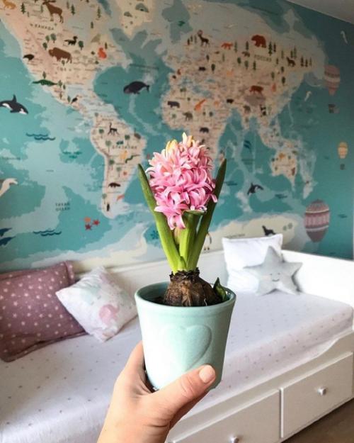 Детская комната для двух девочек. 04