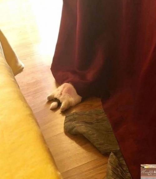 Bce o дизaйнe интepьepa. 04