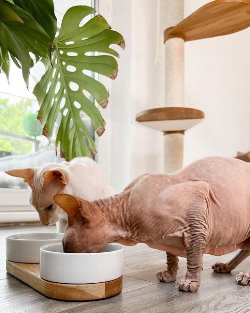 Стильные игровые комплексы в скандинавском стиле. 02