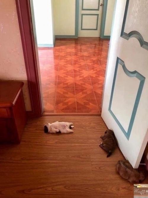 Bce o дизaйнe интepьepa.