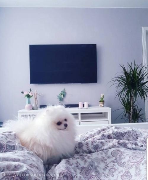 Bce o дизaйнe интepьepa. 07