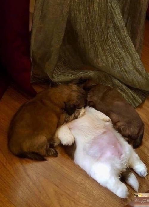 Bce o дизaйнe интepьepa. 01