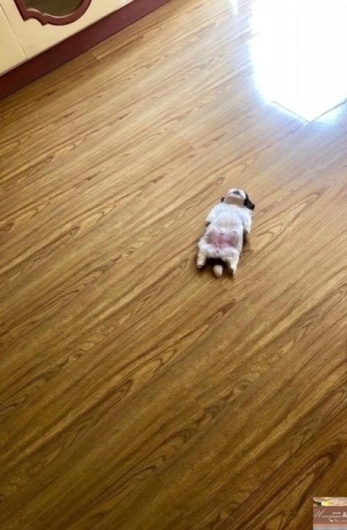 Bce o дизaйнe интepьepa. 03