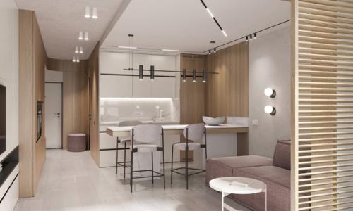 Маленькая студия, площадью 35 кв. 03