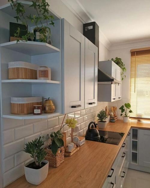 Проект уютной кухни. 02