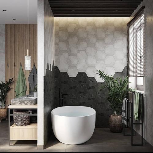 Сан.  Узел в частном доме (16 кв. 01