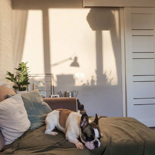 Уютная спальня.  Приятные глазу оттенки, так и тянут к долгому сну. 03