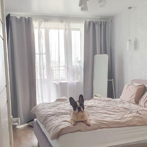 Уютная спальня.  Приятные глазу оттенки, так и тянут к долгому сну.