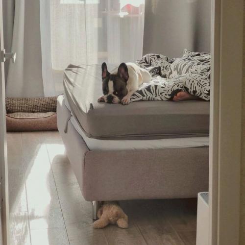 Уютная спальня.  Приятные глазу оттенки, так и тянут к долгому сну. 01