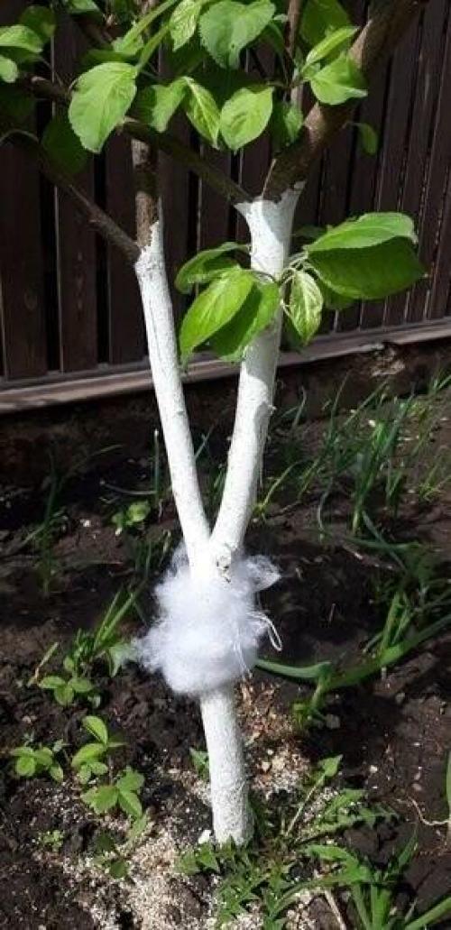 Bce o дизaйнe интepьepa. 01