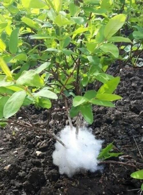 Bce o дизaйнe интepьepa.