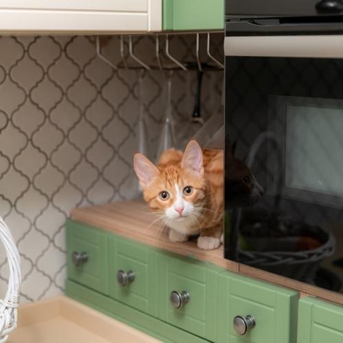 Кухни в оливковом цвете не теряют актуальности. 05