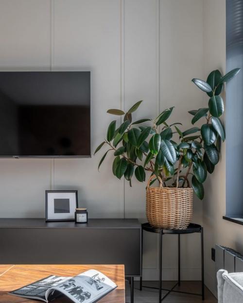 Квартира для сдачи в аренду. 02