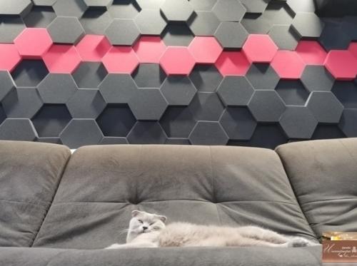 Bce o дизaйнe интepьepa. 03