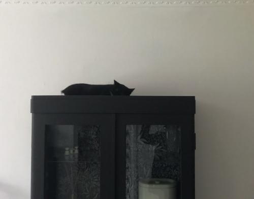 Уговорила мужа забрать старый бабушкин шкаф! 03