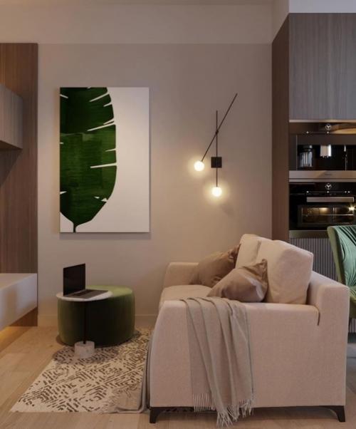 Кухня - гостиная площадью 15 кв. 06