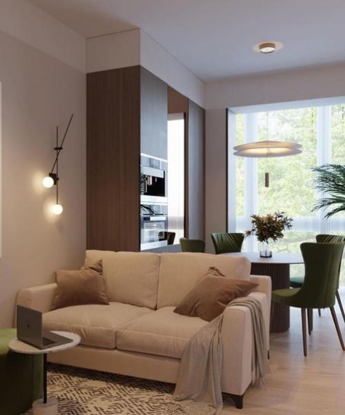 Кухня - гостиная площадью 15 кв. 05