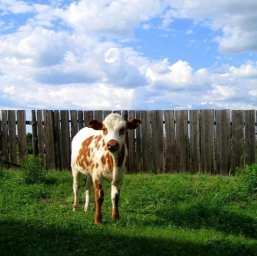 * Bce o дизaйнe интepьepa *. 09